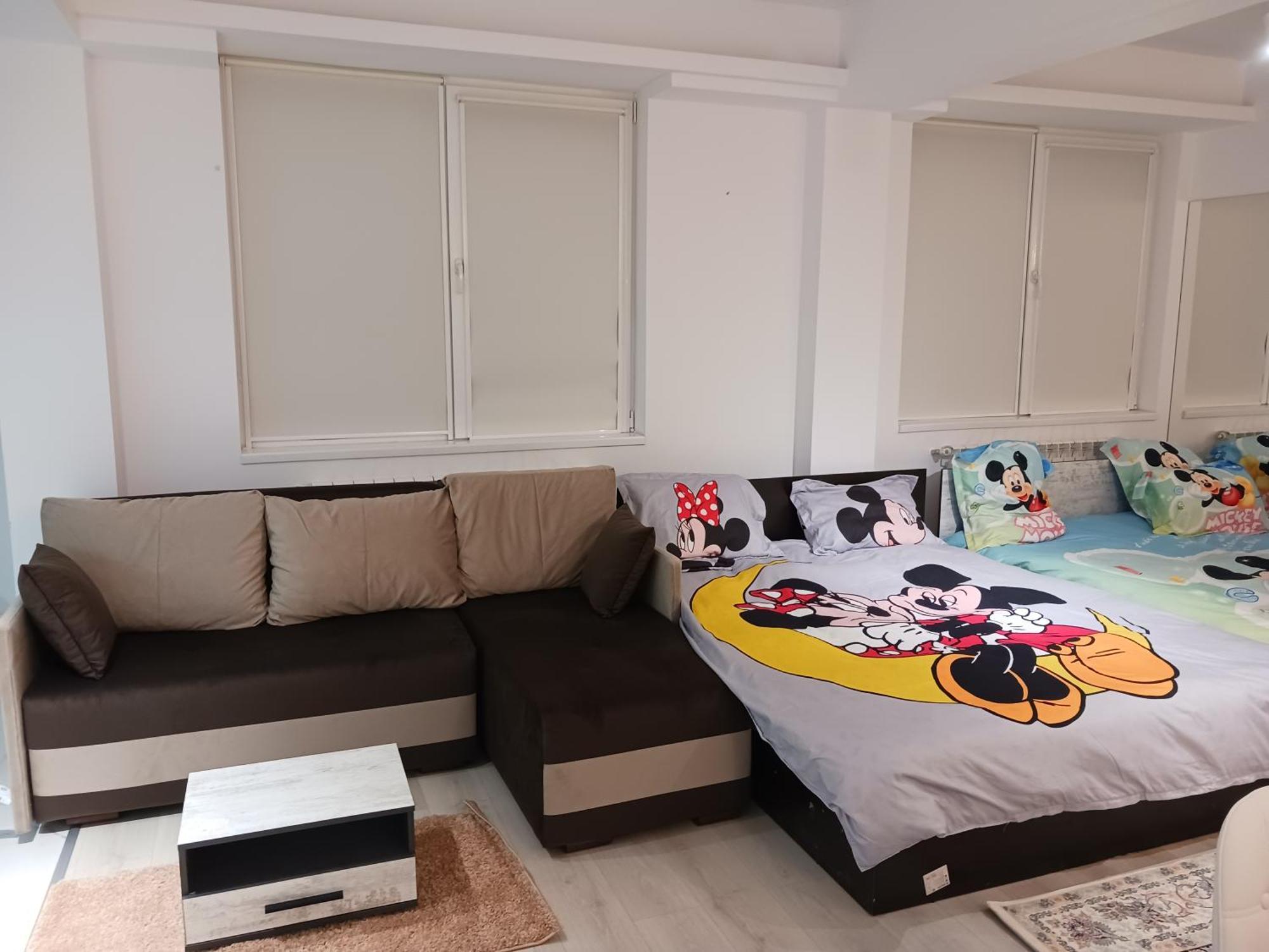 شقة Myky Mouse Nu Primesc Santieristi Si Petrecareti بوخارست المظهر الخارجي الصورة