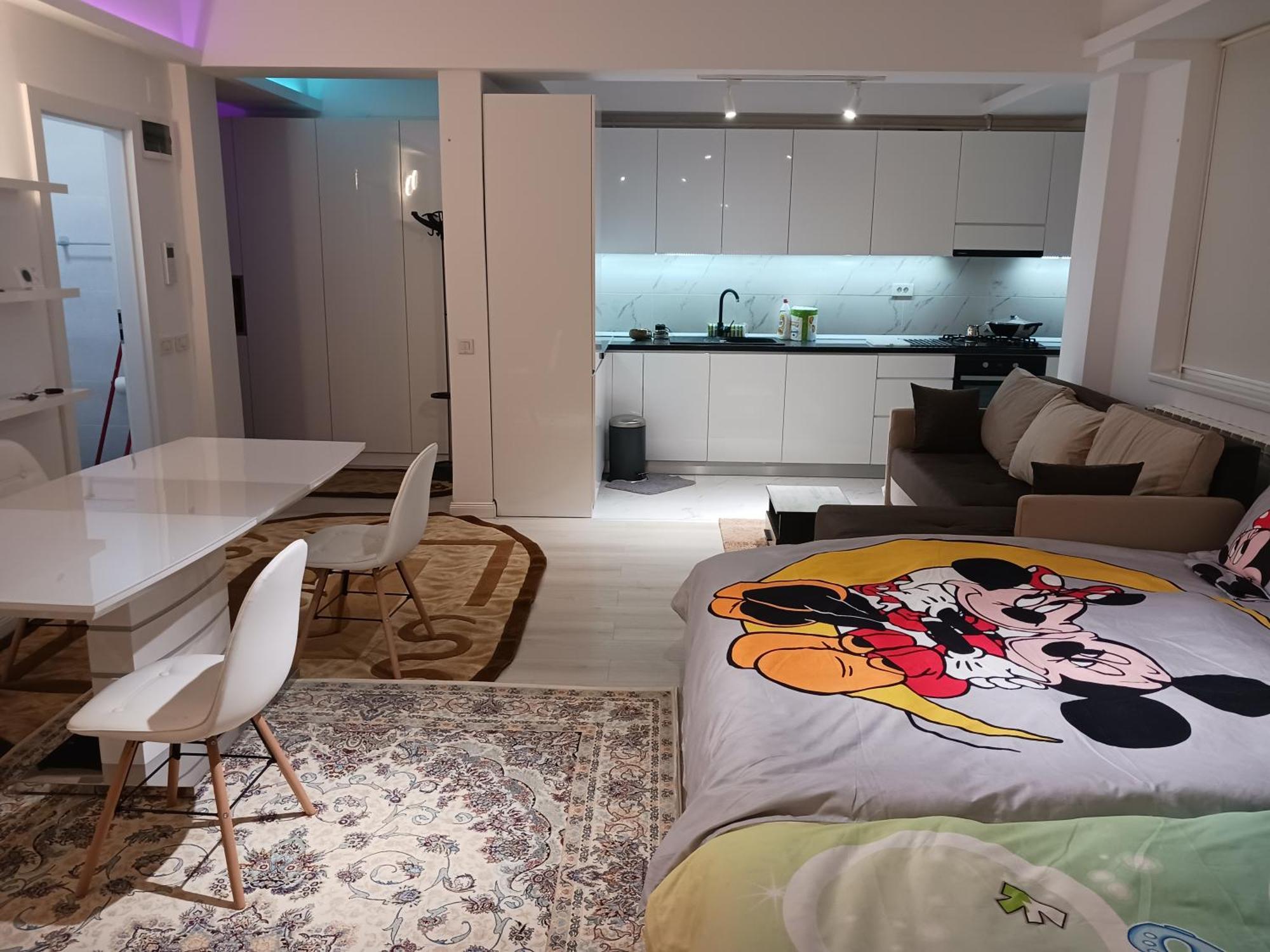 شقة Myky Mouse Nu Primesc Santieristi Si Petrecareti بوخارست المظهر الخارجي الصورة